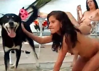Hot teen enjoying animal sex