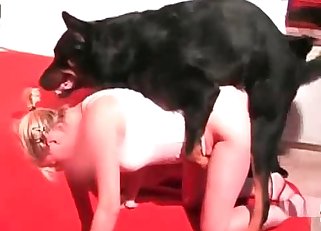 Unusual zoo prostitute getting screwed by an animal