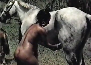 Tanned guy wants to fuck a horse