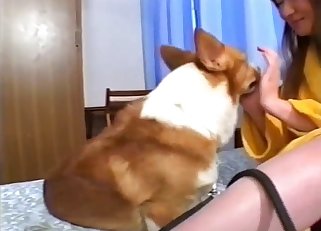 Asian is kissing her trained young dog