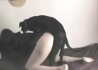 Γαμήσι