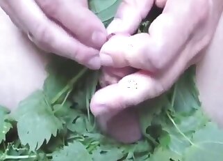 Bestiality porn with plenty of pleasure up close