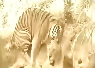 Wild cats fucking outside in a zoo porn movie