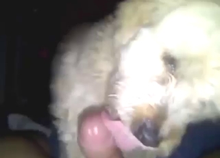 POV blowjob with a sexy white animal, hot dude