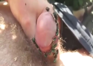Close up