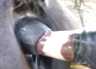 Prepping for bestiality sex that looks great