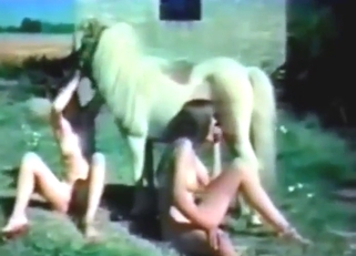 Sexy beast acts all kinky as it fucks two beasts