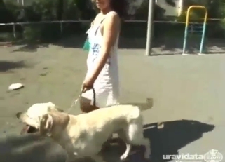 Horny women make love in a group zoo fuck vid