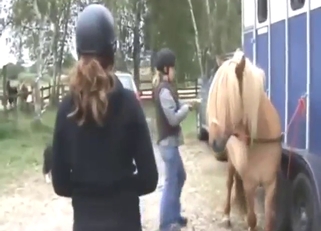 Nice and hard fucking session with beasts