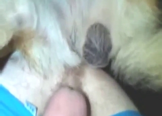 Dude is going to get his bunghole fucked by dog