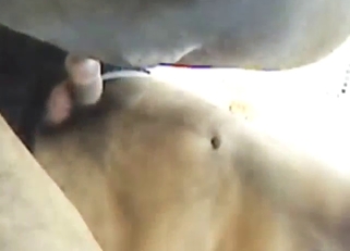 Bestiality porn shows a dog getting fingered