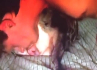 Dude cannot stop licking animal pussy here