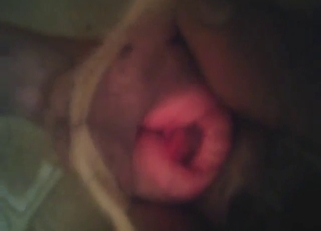 Dog pussy spasming and orgasming up close