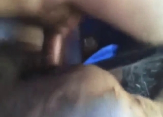 Mare can never get enough of that young dick