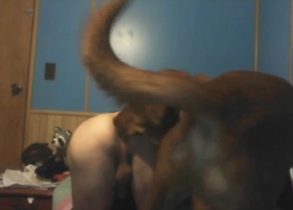 Awesome doggystyle with a brown dog gapist