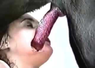 Mature lady licking all over that dog's penis