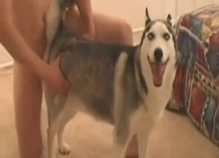 Guy shows his round ass as he fucks a dog