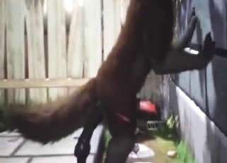 Animal porn movie with a sexy dildo play