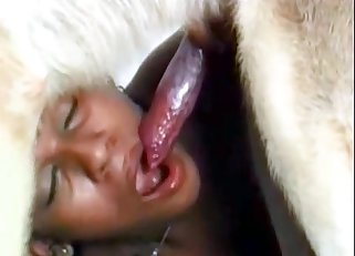 Zoophilic porn action was never so attractive