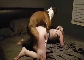 Sex