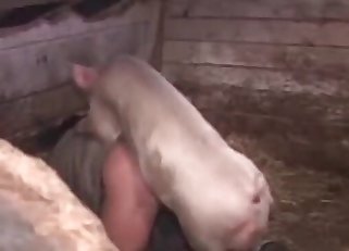 Tender piggy is fucking a slutty babe