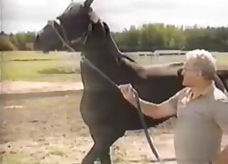 Passionate action with sexy horses