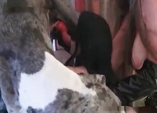 Masked beauty sucks animal boner