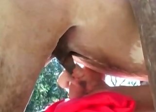 Sensual love-making with a horse