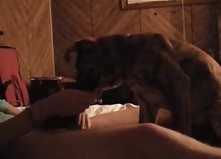 Hard boner for a lovely puppy